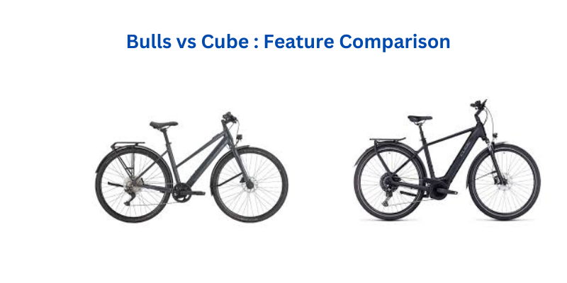 Bulls vs Cube : Feature Comparison