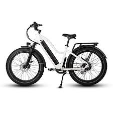 Dirwin eBike review