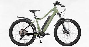 Peak ebike review