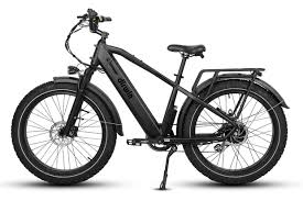 pioneer ebike review