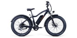 rad rover ebike review